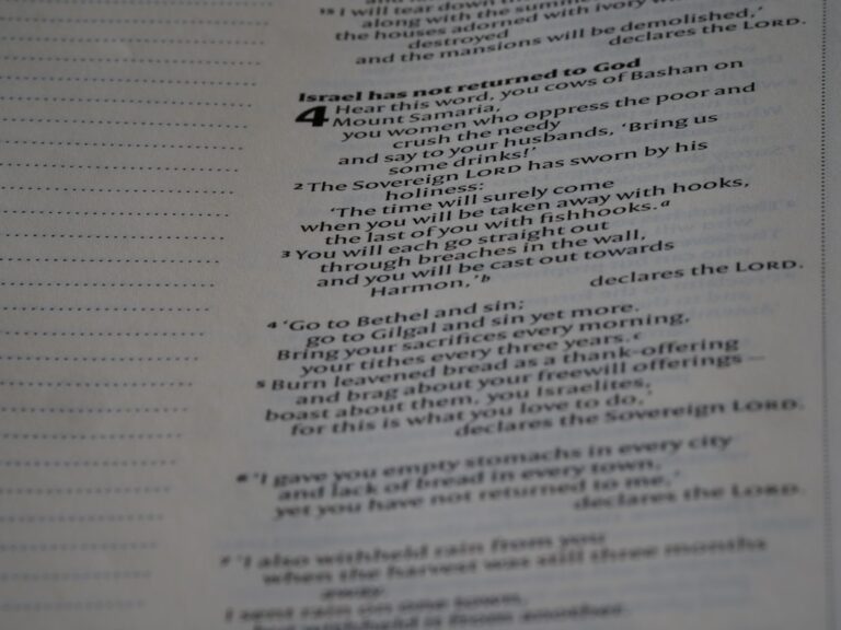 Tworzenie portfolio zawodowego – jak przekonać pracodawcę do swojej kandydatury?